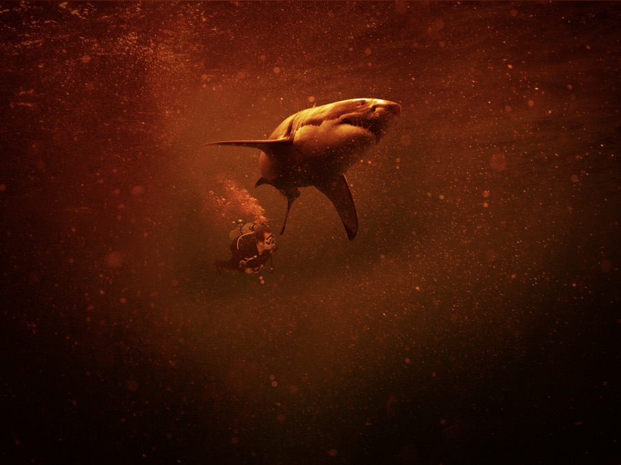 Sharkcano: Hawaii - Apple TV