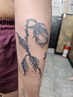 Tonys Tattoos Body Piercing photo 5