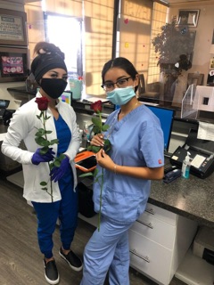 7 Day Dental 2