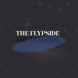 THE FLYPSIDE
