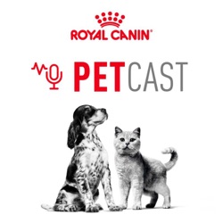 Petcast 9 - Falando de gatos…