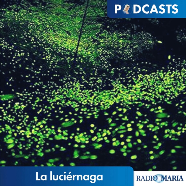 La luciérnaga cover