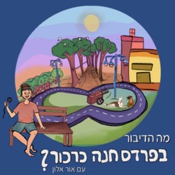 מפעל להגשמת חלומות | מיכל זהרה סלע מור (גודוויץ')