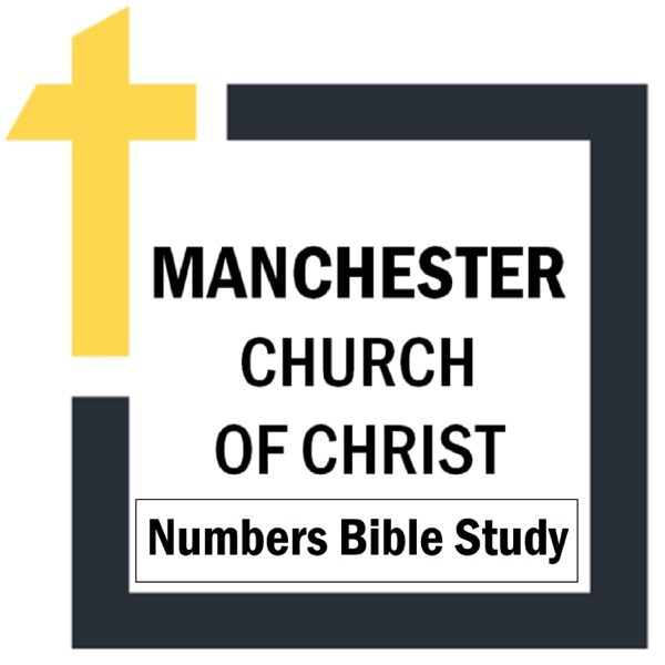 Numbers Bible Study