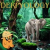 Derpyology artwork
