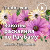 Фрима Гурфинкель  — Мишне Тора (или «Яд аХазака») «Сильная рука Все