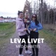 Leva livet med diabetes