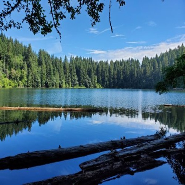 Artwork for Everything is Fine in SWWA