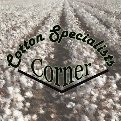Cotton Specialists Corner