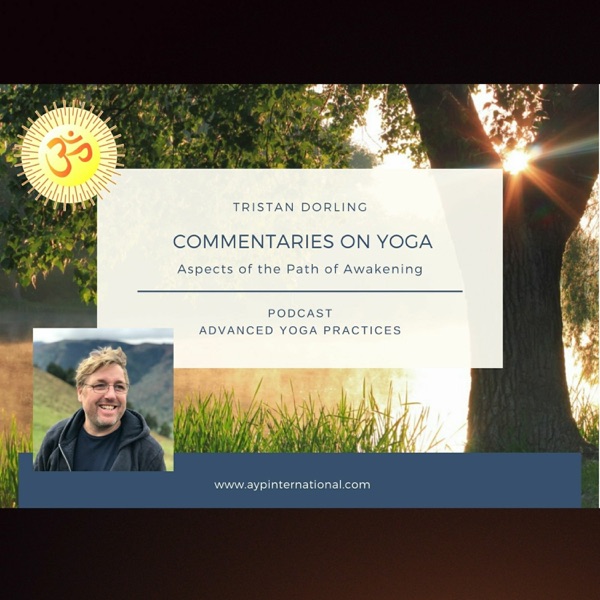 Commentaries on Yoga - Tristan Dorling