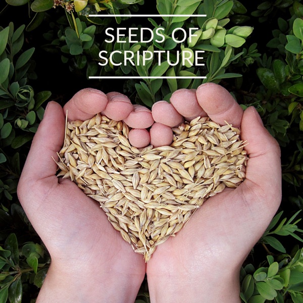 Seeds of Scripture - Daily Bible Reading Program