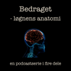 Bedraget - løgnens anatomi