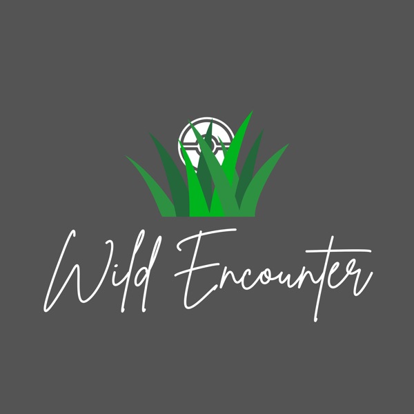 Wild Encounter