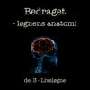 Del 3 Livsløgne