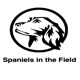 Spaniels In The Field 