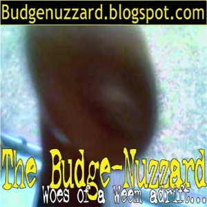 The Budge Nuzzard cover
