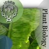 Plant Biology artwork