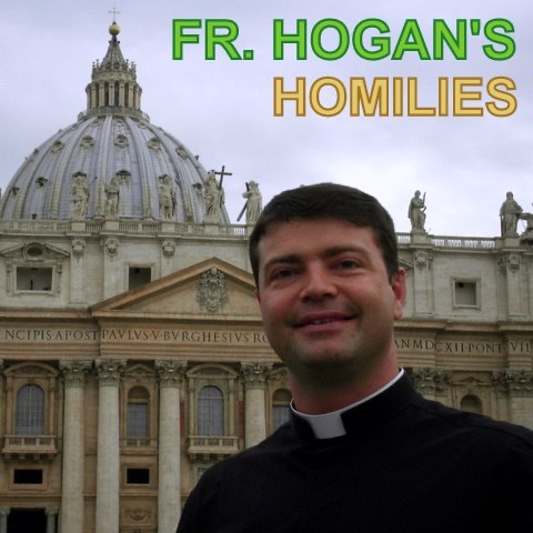 Fr. Hogan's Homilies cover