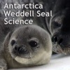 Weddell Seal Science artwork