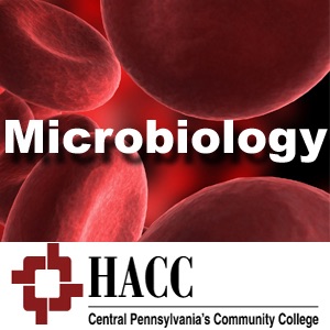 Immunology / Microbiology podcast artwork