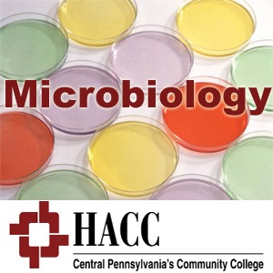 BIOL 221- Microbiology - eb