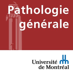 Pathologie générale - PBC2060 - AUDIO