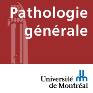 Artwork for Pathologie générale