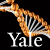 Genetics - Yale School of Medicine