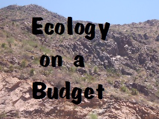 Ecology On A Budget cover