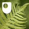 Environmental Ethics - for iPod/iPhone podcast cover