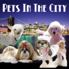 Pets In The City - New York City Pets & Animals - Pets & Animals on Pet Life Radio (PetLifeRadio.com) - Diane West