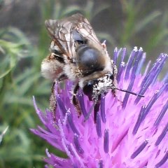 ぼくらはみんなで生きている