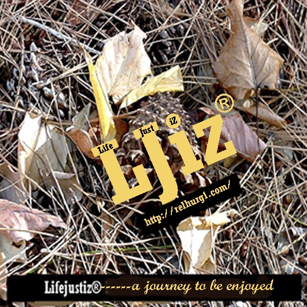 Lifejustiz®Forum cover