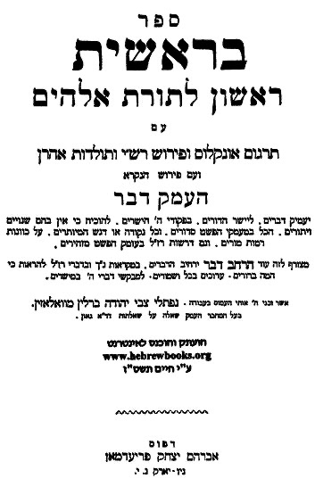 העמק דבר cover
