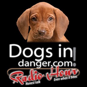 DogsInDanger Radio Hour cover