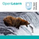 Studying mammals: the opportunists - for iBooks