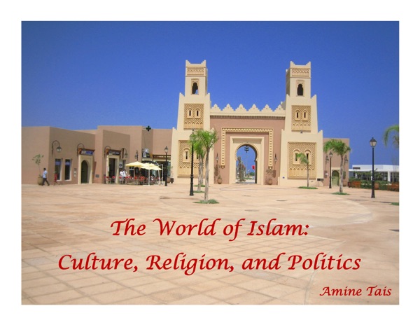 The World of Islam: Culture, Religion, and Politics Artwork