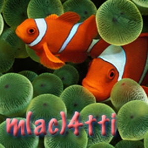 m(ac)4tti Blog