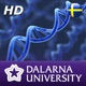 DNA / PCR-laboration (HD)