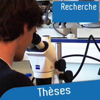 Thèses podcast