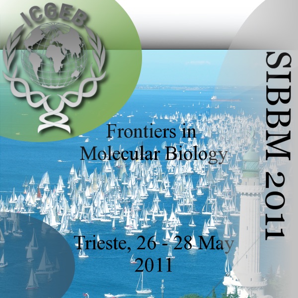 SIBBM 2011 Frontiers in Molecular Biology Artwork