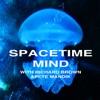 Space Time Mind artwork