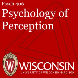 Psych 406: Psychology of Perception