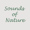 Environmental Sounds artwork