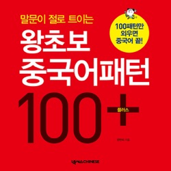 왕초보 중국어패턴 100 플러스 (말문이 절로 트이는)