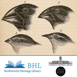 Charles Darwin's Library: Selections