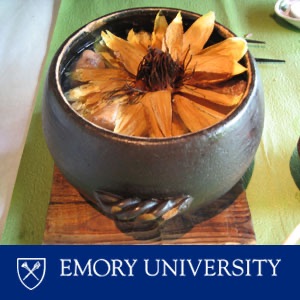 Chinese Beyond Emory - Intermediate Low-Mid