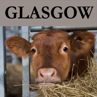Veterinary Medicine podcast