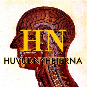 Huvudnyheterna