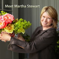 Meet Martha Stewart podcast